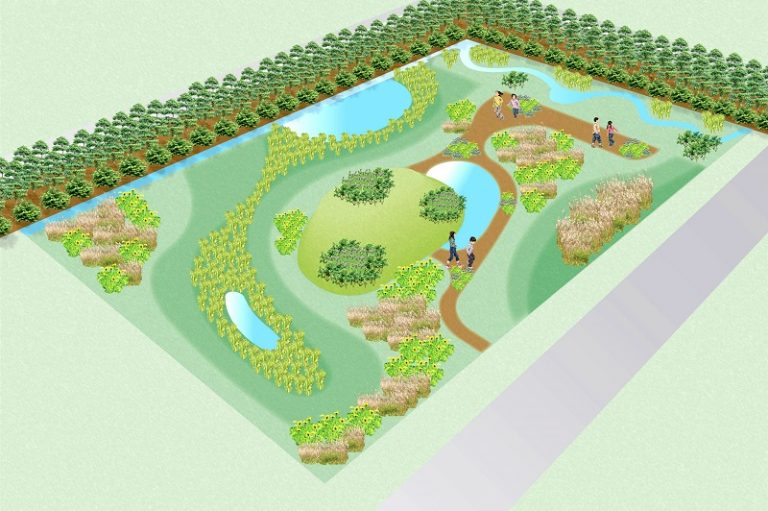 豊田合成、工場の調整池をビオトープ化