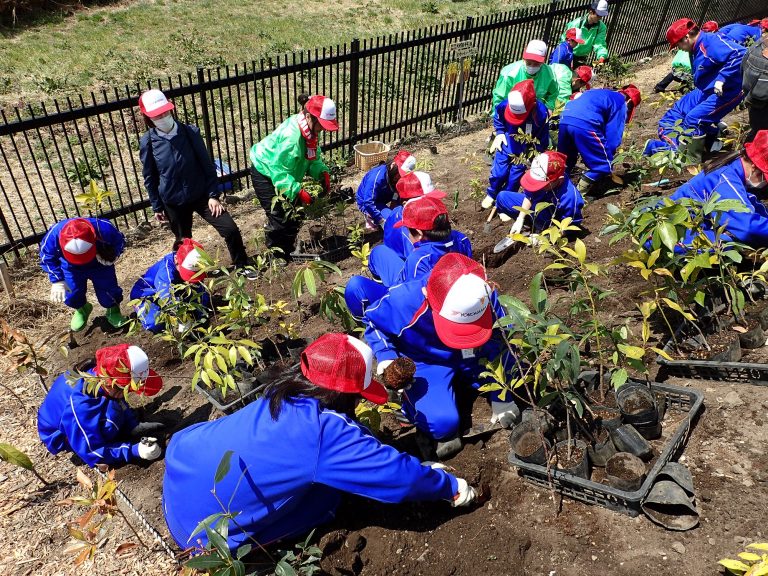 横浜ゴム、大槌学園が行う「平成の杜」での植樹を支援