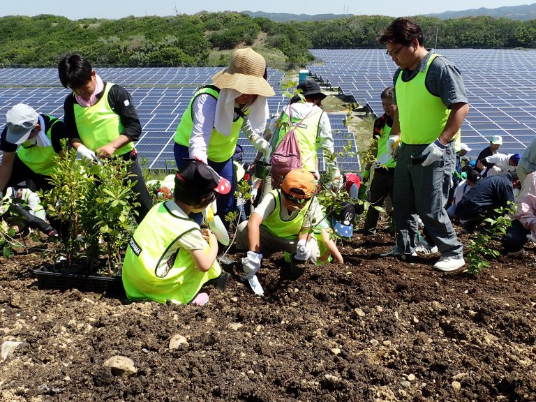 横浜ゴム、掛川市の海岸防災林事業に苗木提供