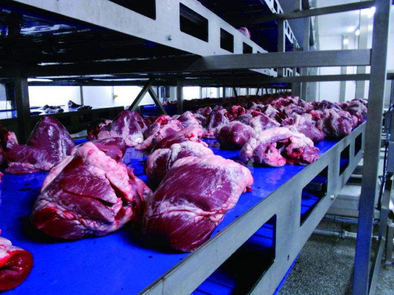 ハバジット日本、ウェット、ドライ食品で拡大