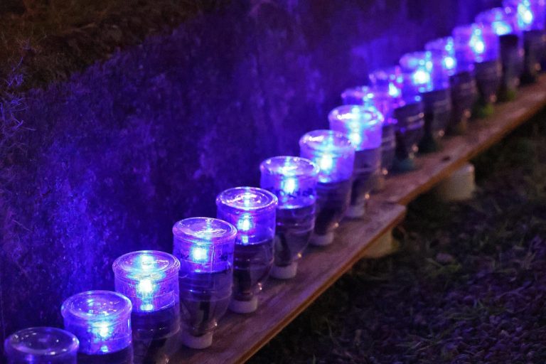 豊田合成、稲沢市にLEDイルミネーションを寄贈