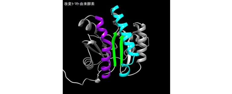 住友ゴム工業 、自然界にないバイオポリマーの合成に成功