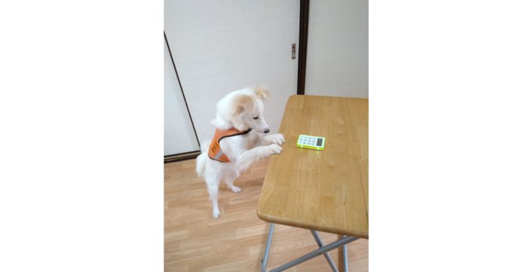 横浜ゴム、「日本聴導犬推進協会」を支援