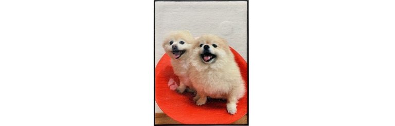 オーサカゴム、「産業交流展」でゴム板の応用製品など訴求