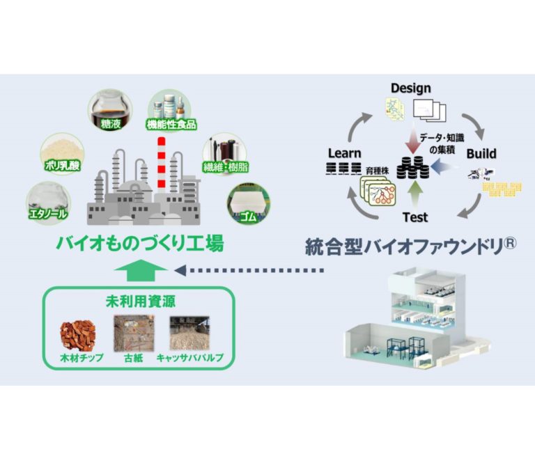 王子ホールディングスなど6社、NEDOバイオものづくり革命推進事業に採択