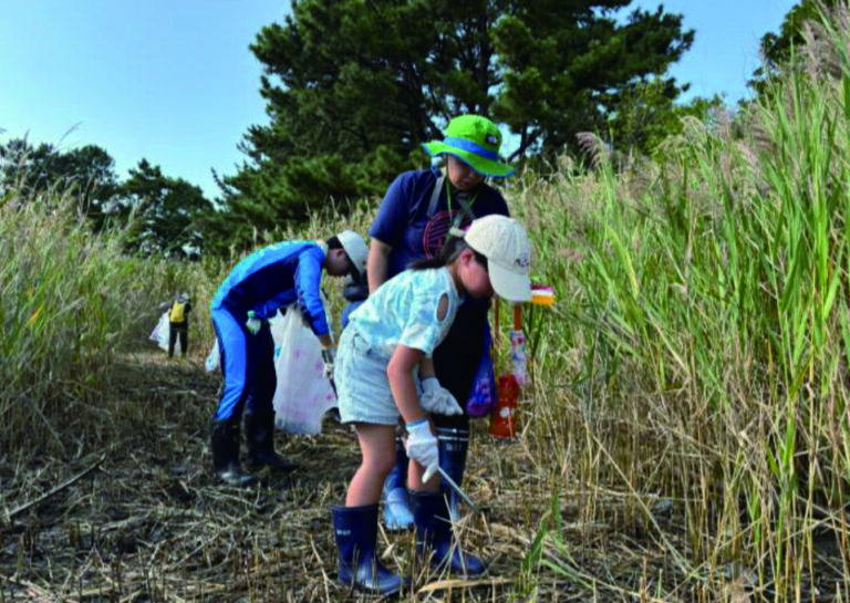 ダウ・ケミカル日本、千葉県習志野市の谷津干潟でクリーンアップ活動を実施